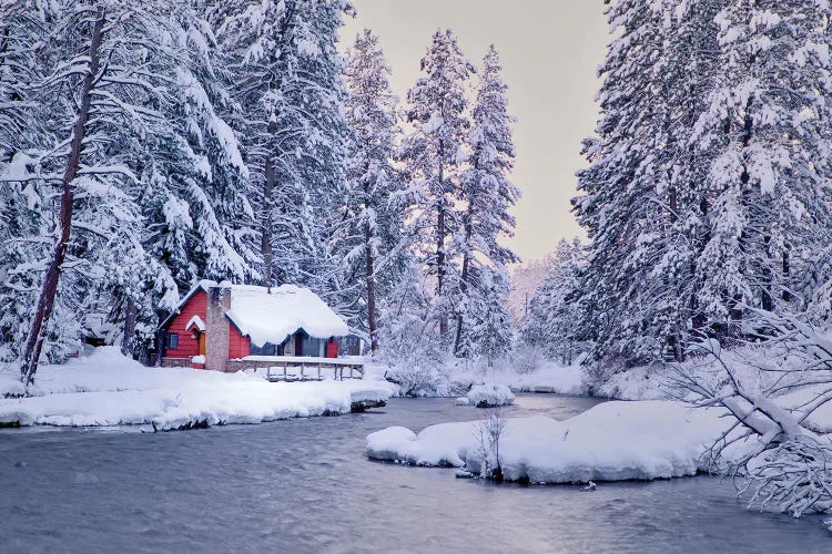Winter Cabin