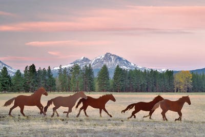 Iron Horses by Dennis Frates framed wall art