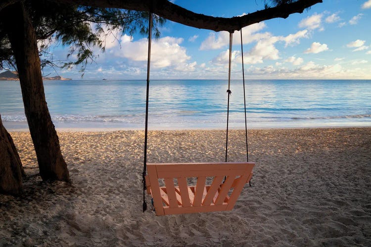 Beach Swing