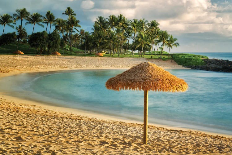 Beach Umbrella