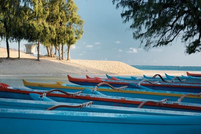 Ready For Race II by Dennis Frates canvas print