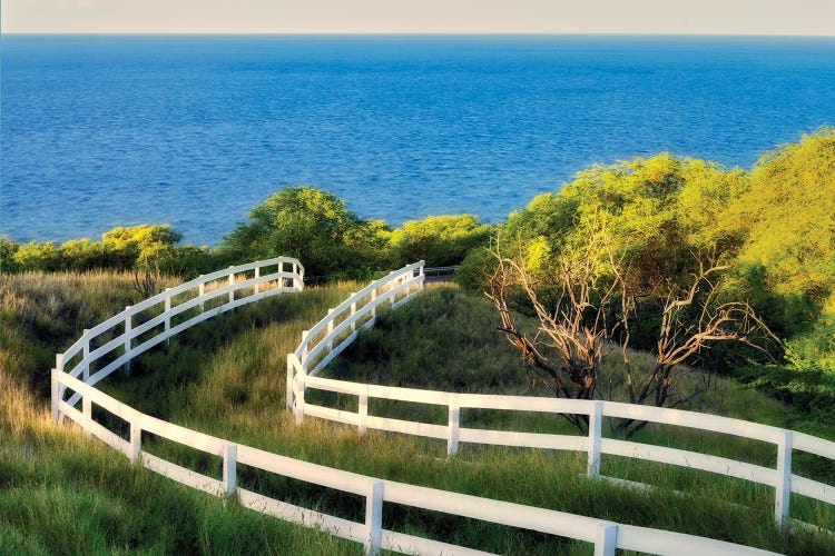 Fence To The Ocean