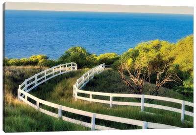 Fence To The Ocean Canvas Art Print - Gate Art