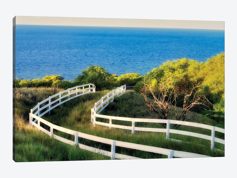Fence To The Ocean by Dennis Frates 1-piece Canvas Art