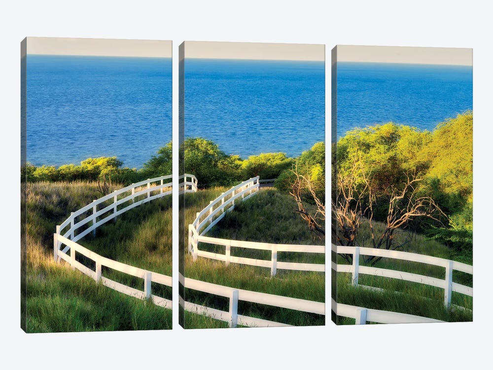 Fence To The Ocean by Dennis Frates 3-piece Canvas Artwork