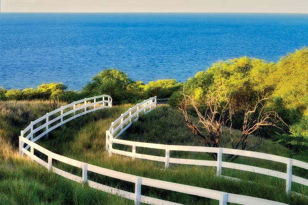Fence To The Ocean