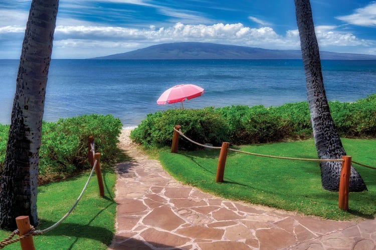 Beach Pathway by Dennis Frates wall art