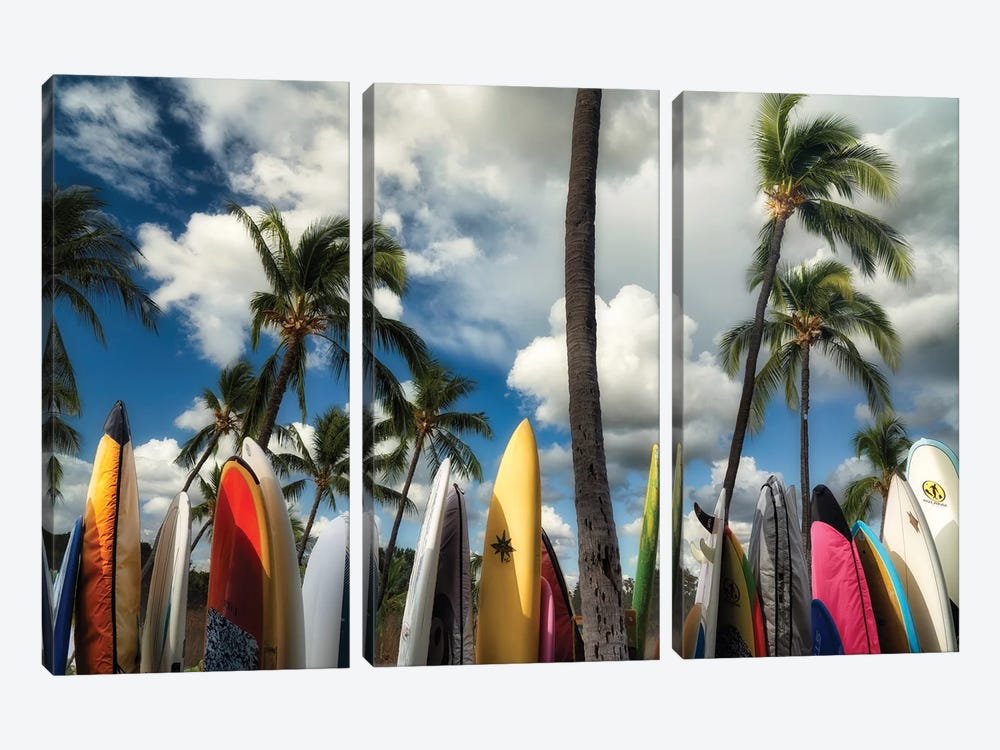 Surfboards VI by Dennis Frates 3-piece Art Print