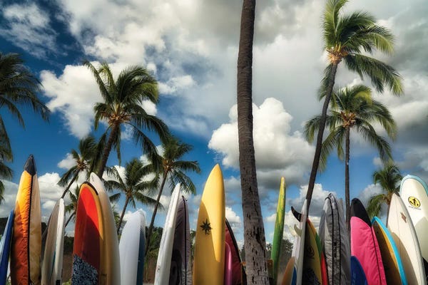 Surfboards VI
