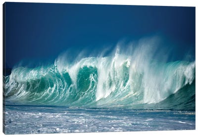 Enormous Wave I Canvas Art Print - Dennis Frates