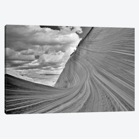 The Wave Canvas Print #DEN1152} by Dennis Frates Canvas Print