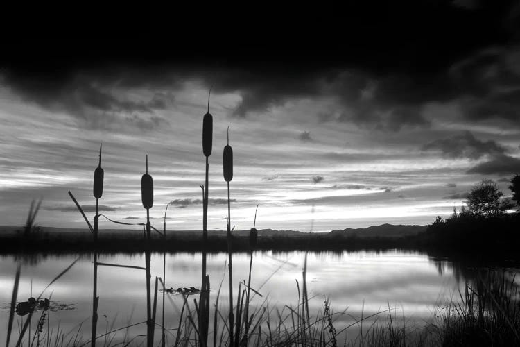 Pond Sunrise