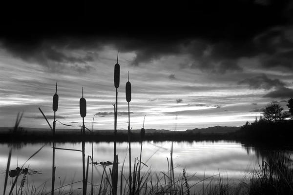 Pond Sunrise