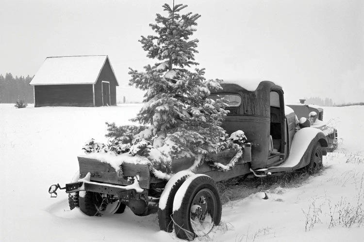 Christmas Tree Truck