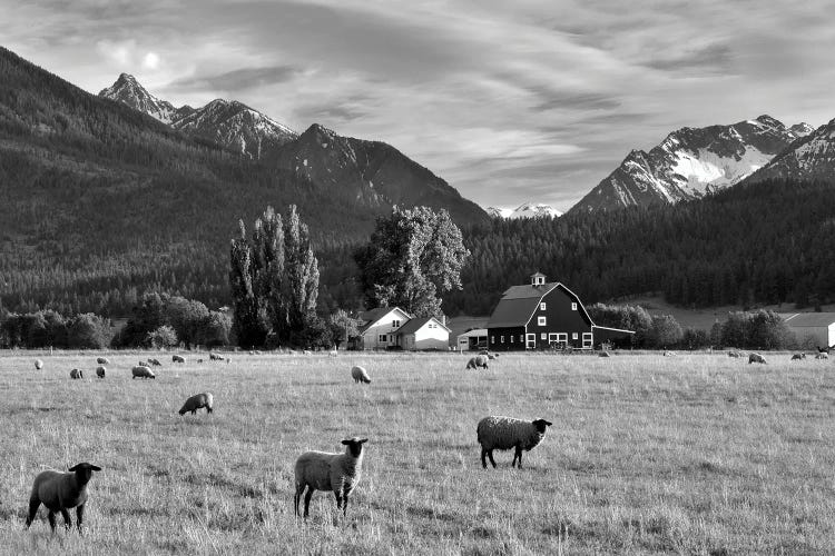 Alpine Pasture by Dennis Frates wall art