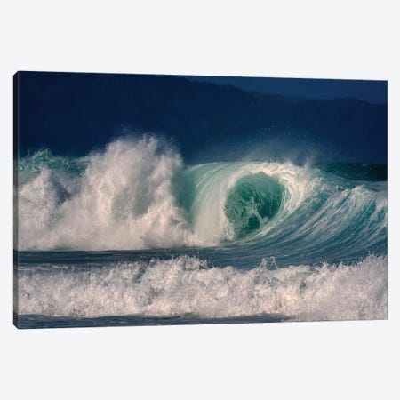 Enormous Wave II Canvas Print #DEN115} by Dennis Frates Art Print
