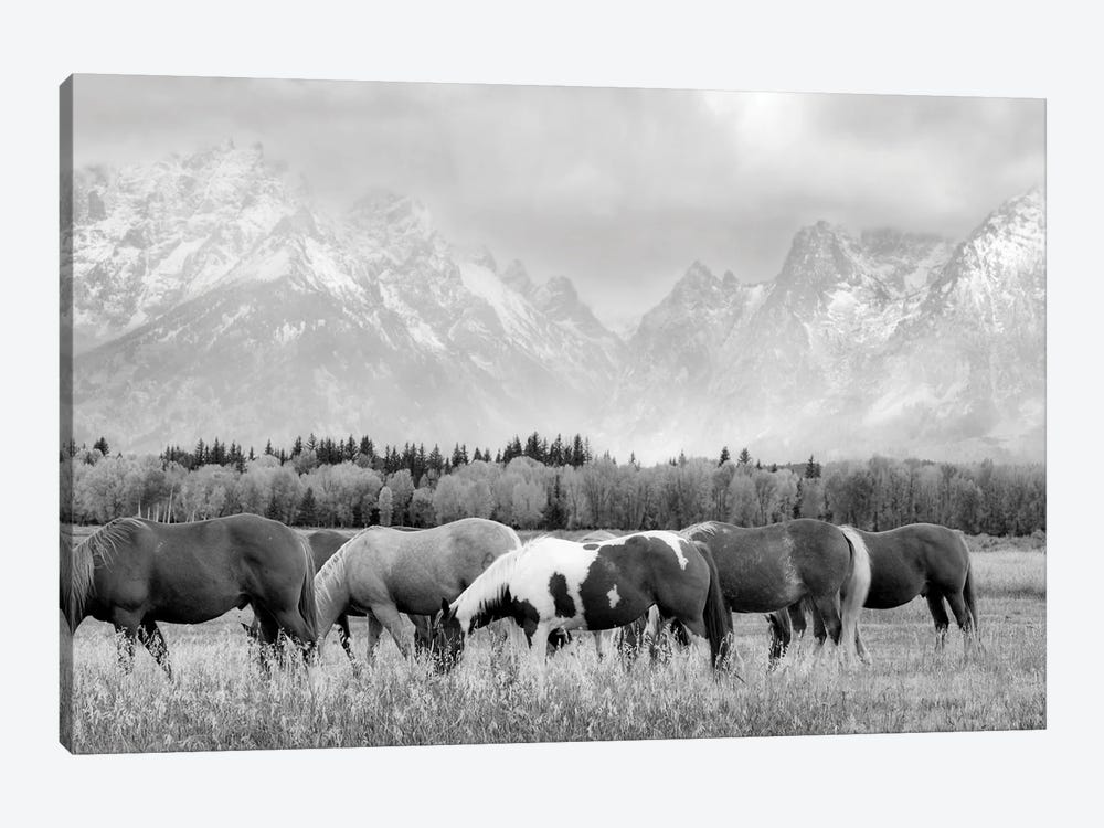 Teton Horses II by Dennis Frates 1-piece Canvas Wall Art