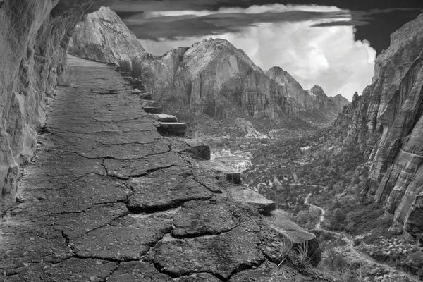 Zion National Park: Zion Trail by Dennis Frates