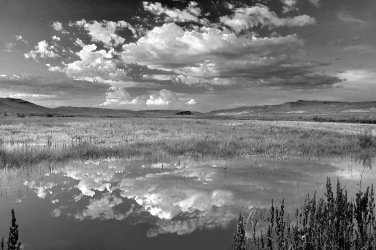 Desert Pond Reflection