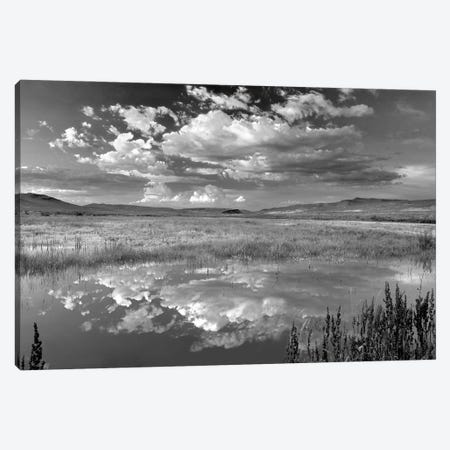 Desert Pond Reflection Canvas Print #DEN1164} by Dennis Frates Canvas Print