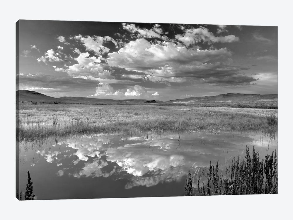 Desert Pond Reflection by Dennis Frates 1-piece Canvas Artwork