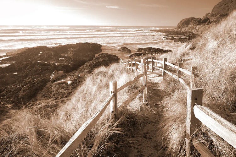 Pathway To The Sea by Dennis Frates wall art