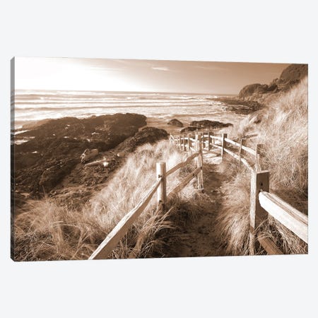 Pathway To The Sea Canvas Print #DEN1167} by Dennis Frates Canvas Print