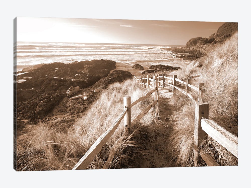 Pathway To The Sea by Dennis Frates 1-piece Art Print