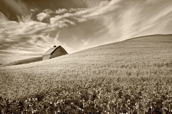 Photography: Barn And Crop by Dennis Frates