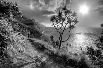 Kauai Trail by Dennis Frates framed wall art