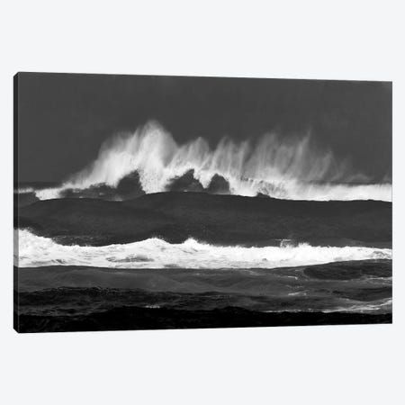 Large Wave Canvas Print #DEN1192} by Dennis Frates Canvas Print