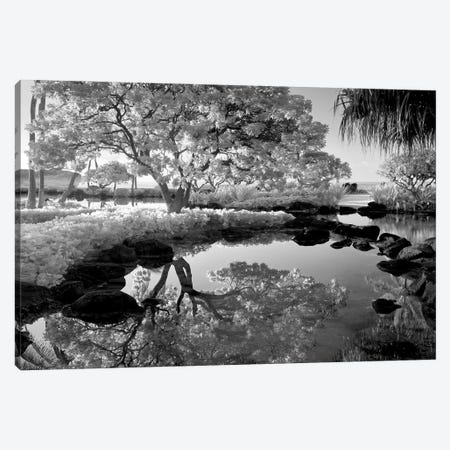 Pond Tree Reflection Canvas Print #DEN1194} by Dennis Frates Canvas Wall Art