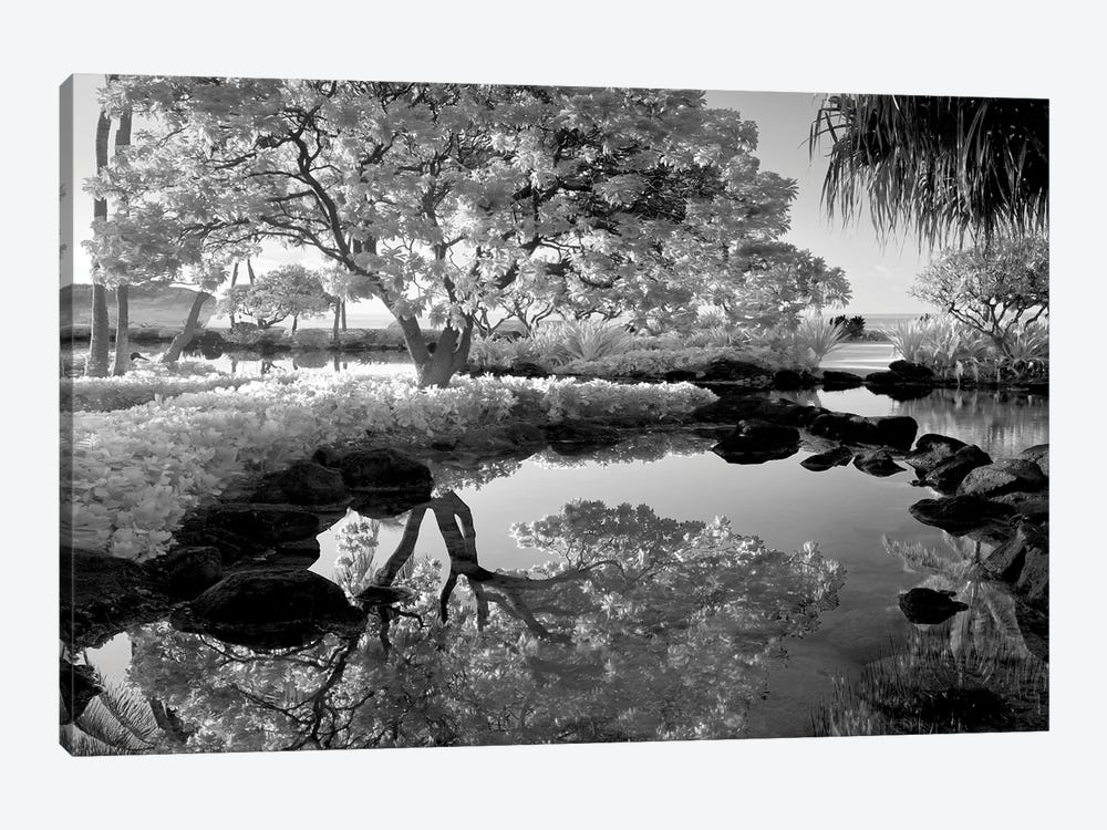 Pond Tree Reflection by Dennis Frates 1-piece Canvas Print