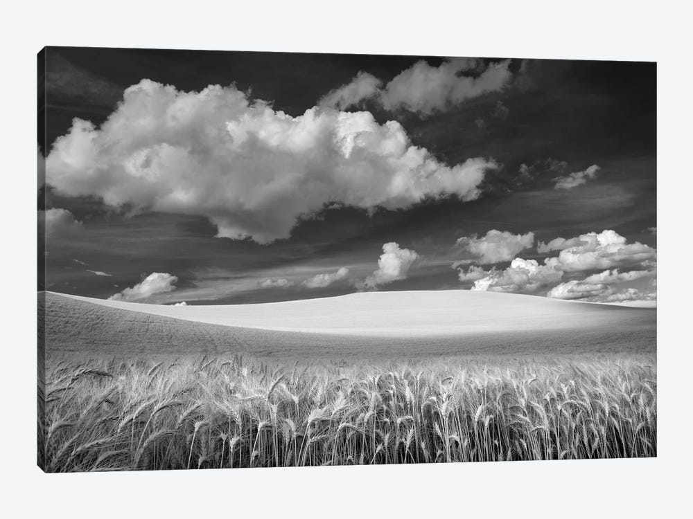 Wheat Field by Dennis Frates 1-piece Art Print