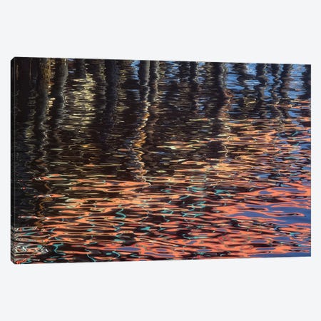 Abstract Reflection Canvas Print #DEN11} by Dennis Frates Canvas Art