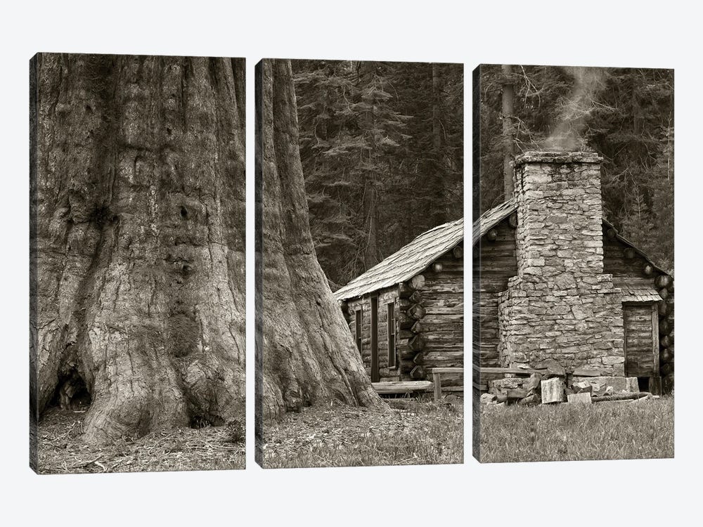 Cabin And Redwood by Dennis Frates 3-piece Art Print