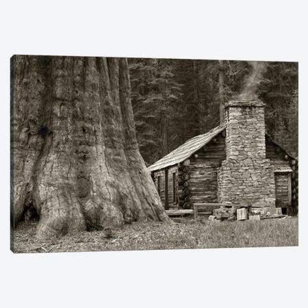 Cabin And Redwood Canvas Print #DEN1207} by Dennis Frates Canvas Art