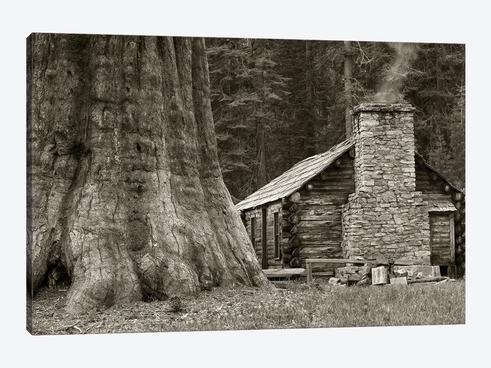 Cabin And Redwood by Dennis Frates 1-piece Art Print