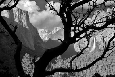 Ancient Valley by Dennis Frates multi panel art