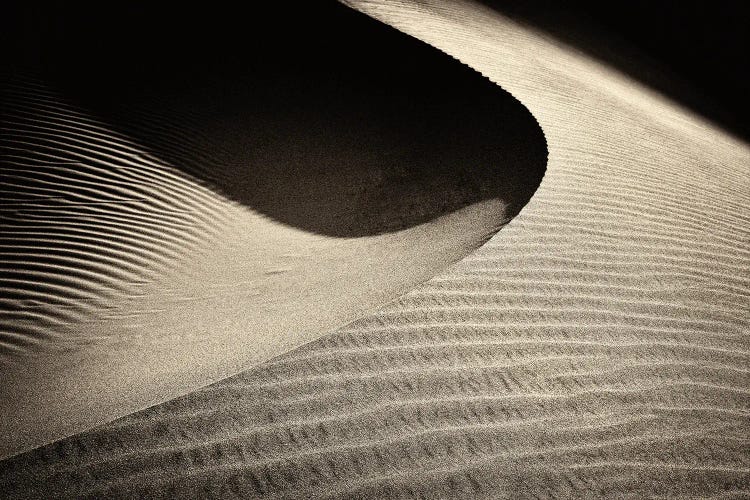Dune Light by Dennis Frates wall art