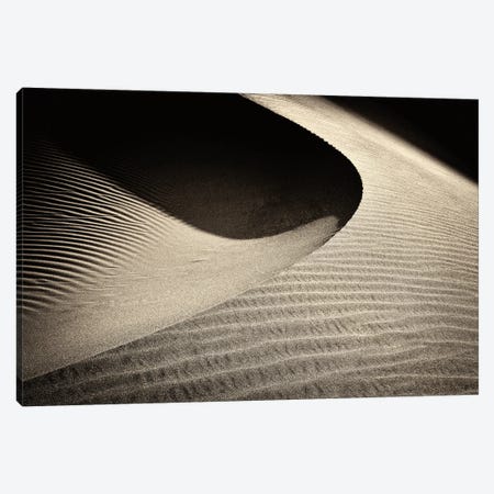 Dune Light Canvas Print #DEN1215} by Dennis Frates Art Print