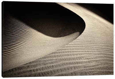 Dune Light Canvas Art Print - Coastal Sand Dune Art