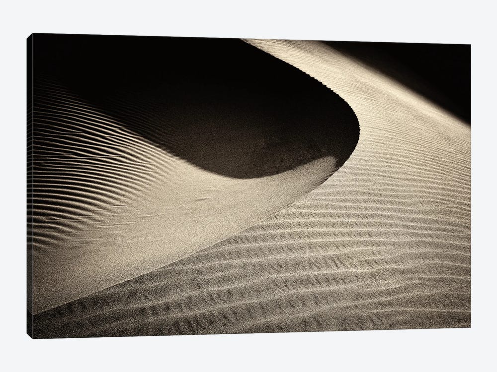 Dune Light by Dennis Frates 1-piece Canvas Art