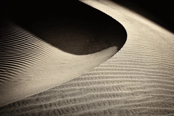 Coastal Sand Dunes: Dune Light by Dennis Frates