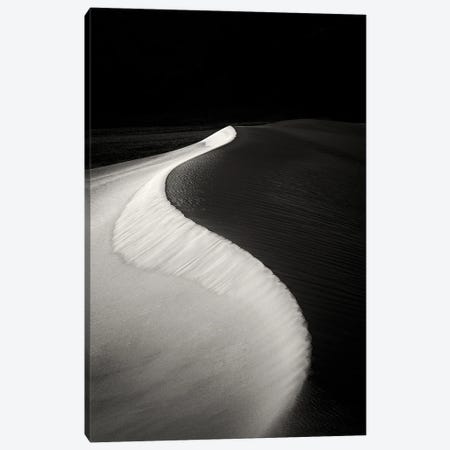 Dune Curve Canvas Print #DEN1216} by Dennis Frates Canvas Art Print