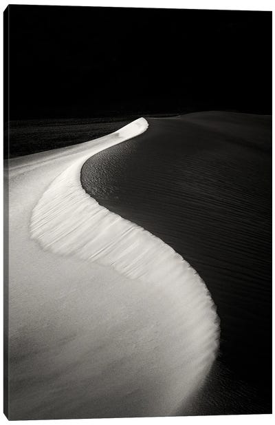 Dune Curve Canvas Art Print - Coastal Sand Dune Art