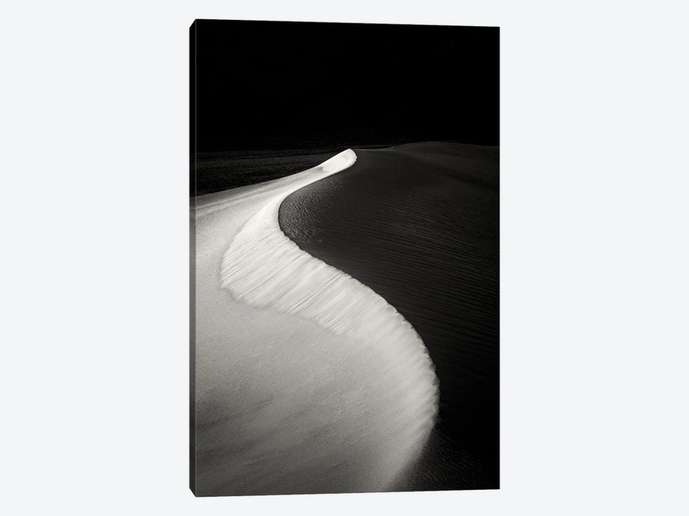 Dune Curve by Dennis Frates 1-piece Canvas Art Print