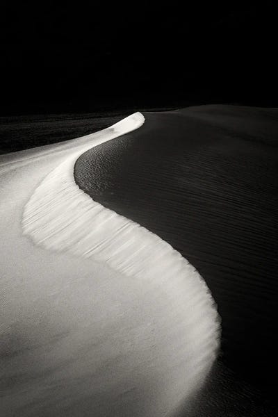 Coastal Sand Dunes: Dune Curve by Dennis Frates