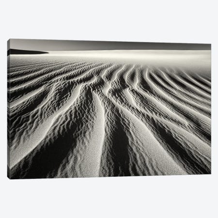 Dune Patterns Canvas Print #DEN1217} by Dennis Frates Canvas Print