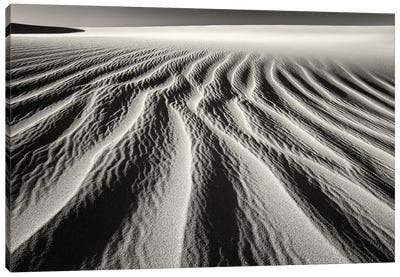 Dune Patterns Canvas Art Print - Coastal Sand Dune Art